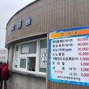 스노클링 | 강원 삼척 갈남항 스노클링 방문후기