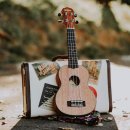 우쿨렐레 1:1 개인레슨 이미지