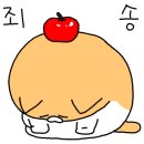 알라딘케밥 커리 네이버블로그