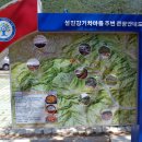 섬진강 레일바이크 이미지