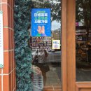 인더키친 | [대전/은행동] 연인과 가기좋은 분위기있는 인더시티 키친 후기