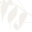 글로리아 풀빌라 이미지