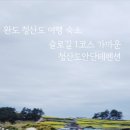 청산도 안단테 이미지