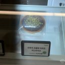 [빵어니스타]이태원 비건베이커리 :: 라미쿠키, 빠싹쿠키, 흑임자빙수 후기