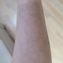 난쟁이 여자가 직접 해본 쿠팡 헬퍼 일산5 캠프 소분2 야간 알바 후기 (칼로리도 측정해 봄)