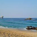 해양과학길 이미지