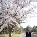 강릉 웨딩스냅 &#39;스냅더드라마&#39; 후기