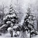 운주목장 이미지