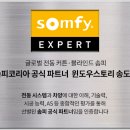 봄윈도우스토리.세사리빙()
