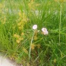 청구개발공인중개사사무소 이미지