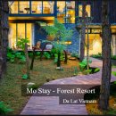 스테이리조트 이미지