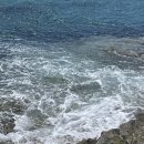 민세시몰 | 2025년 연말결산