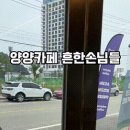 강원도 양양 커피숍 흔한 손님들 이미지