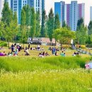 동탄공원 2길 이미지