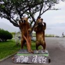 보코이 이미지