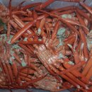 영덕경찰수련원 이미지