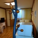 관-비-4-1호 이미지