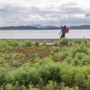 소아마을회관 이미지