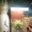 클래식기타 계속반 | 가로수길 혼술바 아는데 솔직후기✨ 린데만스 피치 올리브 체리페퍼 치킨 너겟