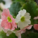 경희부자한의원 이미지