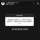 보리카우 이미지