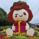 5월21일 울산 장미축제 이미지