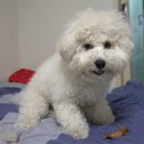 무한뽑기 이미지