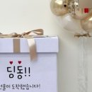 플로랑케이크