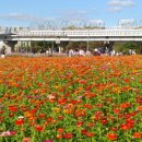 사거리시장 이미지