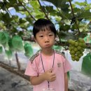 이레농장 2 이미지