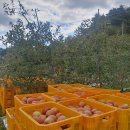 도도1농장 이미지