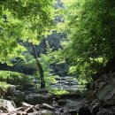 여름소풍 이미지