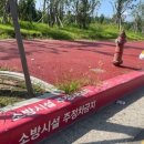 주정차11 이미지