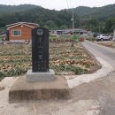 영춘동 Daum카페