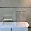 아성슈퍼 | 크레스티드 게코 도마뱀 사육장 꾸미기, 아크릴 사육장 &amp; 용품 후기