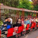 옥인유치원 이미지