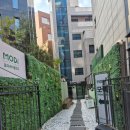 칠암동 바른병원 주차장 입구 앞 | 헤어라인 모발 4000모 이식 수술 후기, 회복과정 모디 헤어플란트