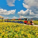 정취경로당 이미지