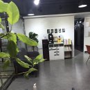 바이올린 중급반 이미지