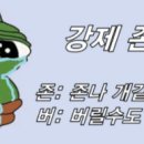 기인메디칼 이미지