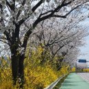 공릉천로 이미지