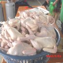 행운동-2 이미지