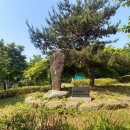 남산 산책로 이미지