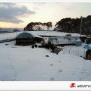 실로암농장 이미지