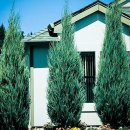 대성농원 이미지