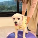 폴앤도기 동남캠퍼스 이미지