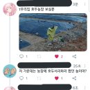 우리농장1 이미지