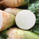 상두농장 이미지