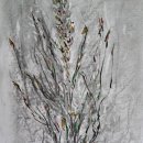 시흥삼성한의원 이미지