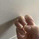 새전북약국 | 비오틴 영양제 추천, 고민 끝!